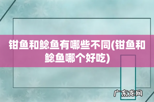 钳鱼和鲶鱼哪个好吃 钳鱼和鲶鱼有哪些不同