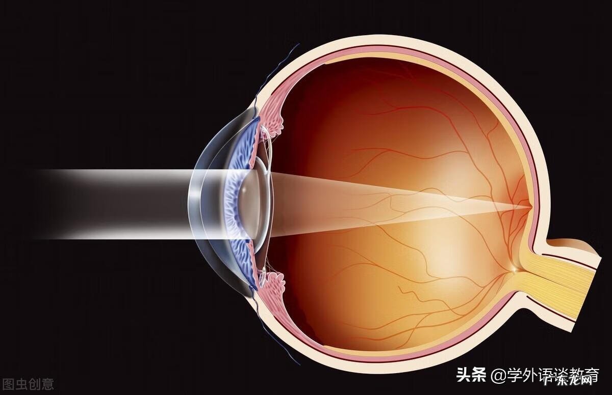 提纲 英语 提纲的英文