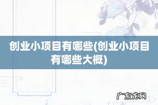 创业小项目有哪些大概 创业小项目有哪些