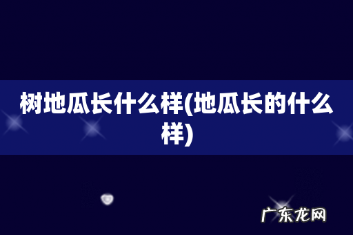 地瓜长的什么样 树地瓜长什么样