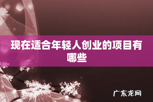 现在适合年轻人创业的项目有哪些