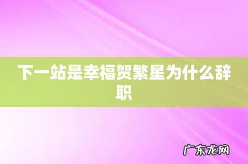 下一站是幸福贺繁星为什么辞职