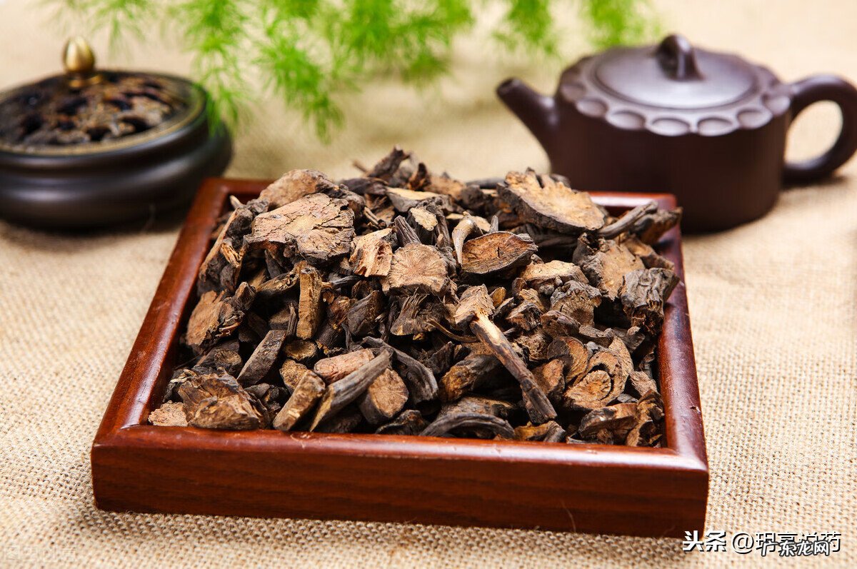 痔疮 用什么药 治疗痔疮用什么药好