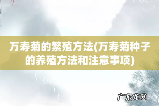 万寿菊种子的养殖方法和注意事项 万寿菊的繁殖方法