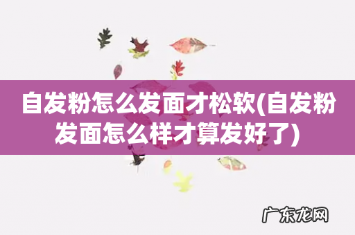 自发粉发面怎么样才算发好了 自发粉怎么发面才松软