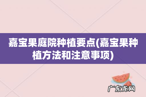 嘉宝果种植方法和注意事项 嘉宝果庭院种植要点
