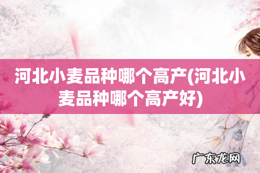 河北小麦品种哪个高产好 河北小麦品种哪个高产