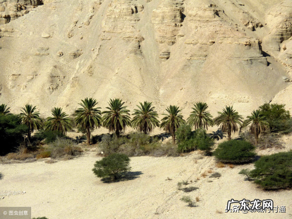 风水大师 庄渠风水