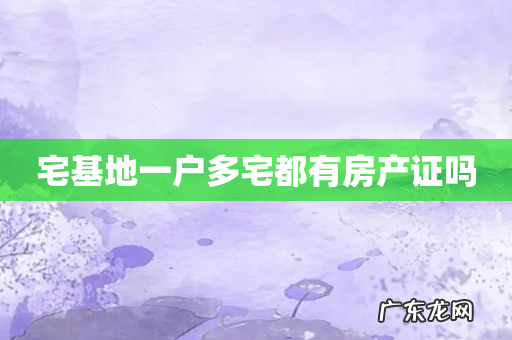 宅基地一户多宅都有房产证吗