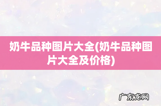 奶牛品种图片大全及价格 奶牛品种图片大全