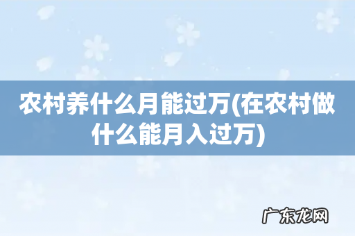 在农村做什么能月入过万 农村养什么月能过万