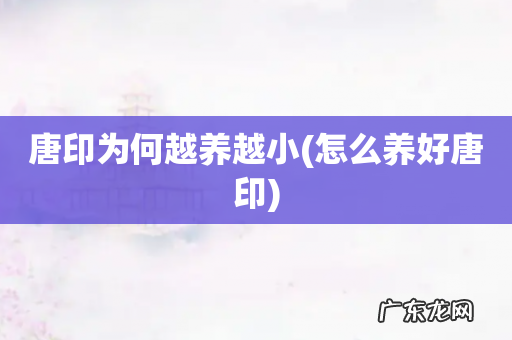 怎么养好唐印 唐印为何越养越小