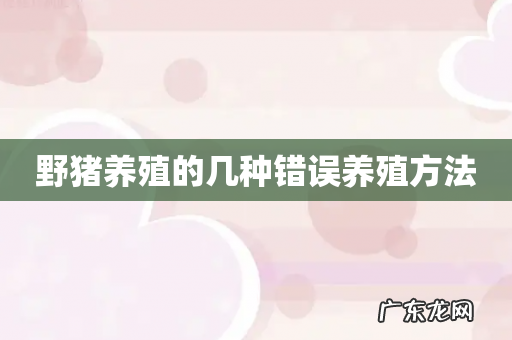 野猪养殖的几种错误养殖方法