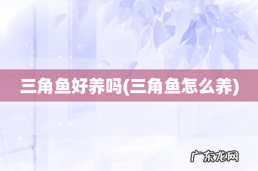 三角鱼怎么养 三角鱼好养吗