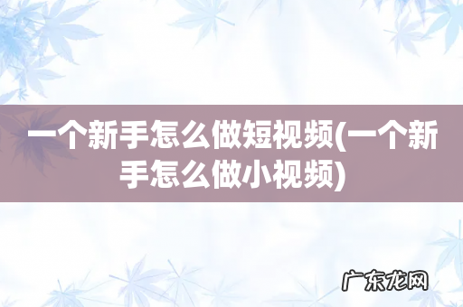一个新手怎么做小视频 一个新手怎么做短视频