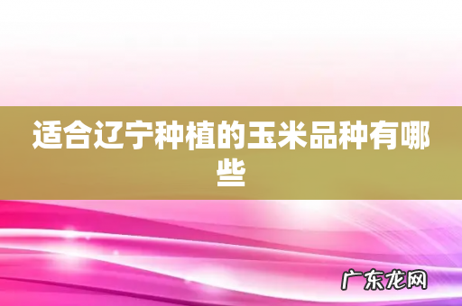 适合辽宁种植的玉米品种有哪些