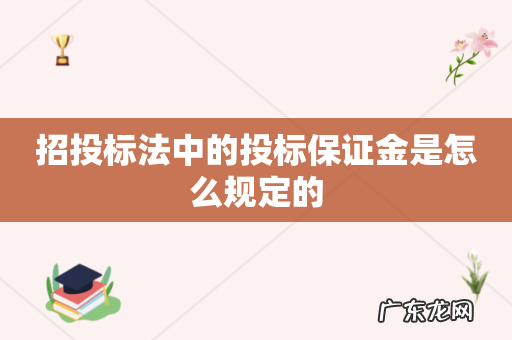 招投标法中的投标保证金是怎么规定的