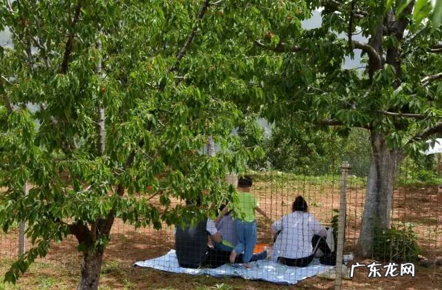 博爱县景点排行榜 博爱县城的风水