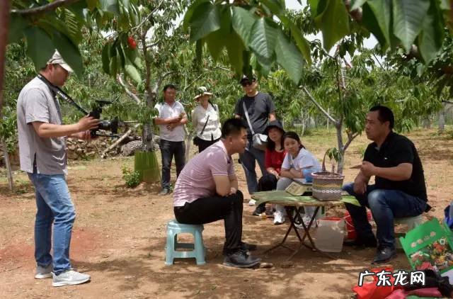 博爱县景点排行榜 博爱县城的风水