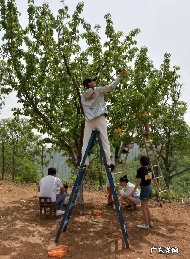 博爱县景点排行榜 博爱县城的风水