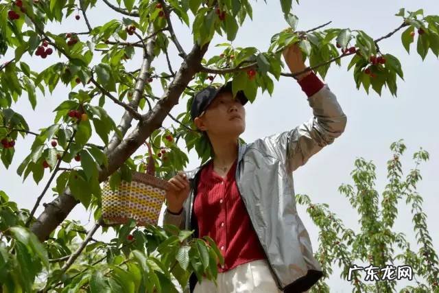 博爱县景点排行榜 博爱县城的风水