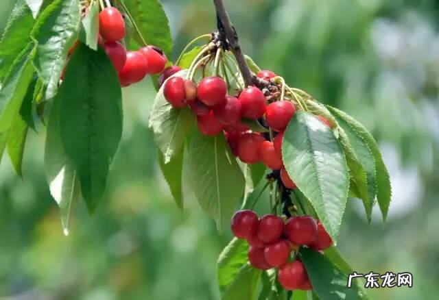 博爱县景点排行榜 博爱县城的风水