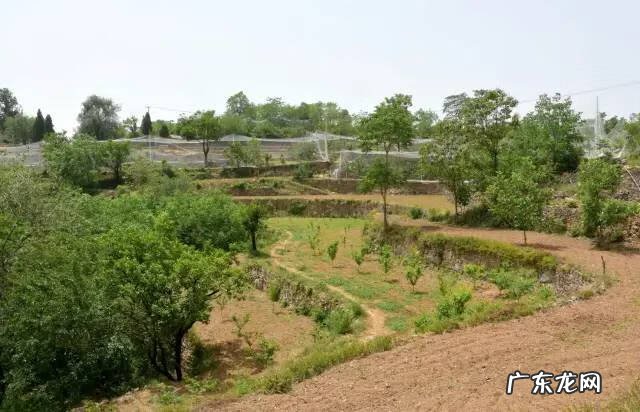 博爱县景点排行榜 博爱县城的风水