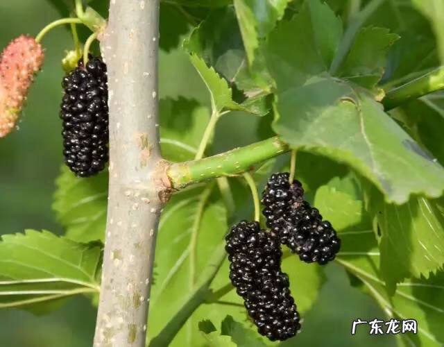 博爱县景点排行榜 博爱县城的风水