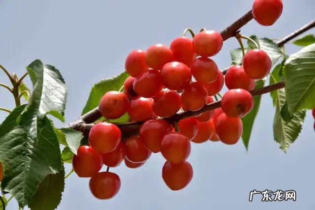 博爱县景点排行榜 博爱县城的风水