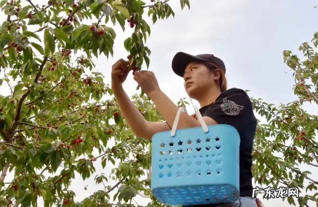 博爱县景点排行榜 博爱县城的风水
