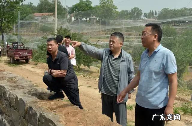 博爱县景点排行榜 博爱县城的风水