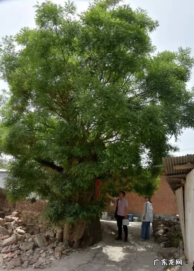 博爱县景点排行榜 博爱县城的风水