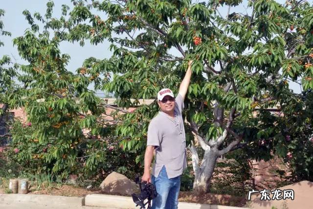 博爱县景点排行榜 博爱县城的风水