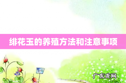 绯花玉的养殖方法和注意事项
