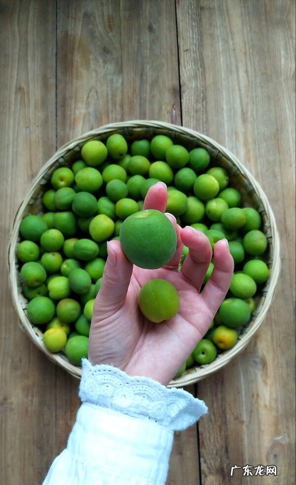 青梅酒的制作方法和步骤窍门 青梅酒的做法大全