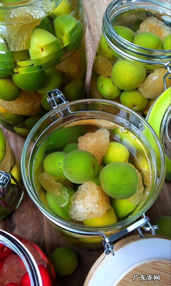 青梅酒的制作方法和步骤窍门 青梅酒的做法大全