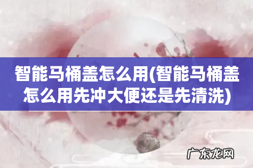 智能马桶盖怎么用先冲大便还是先清洗 智能马桶盖怎么用