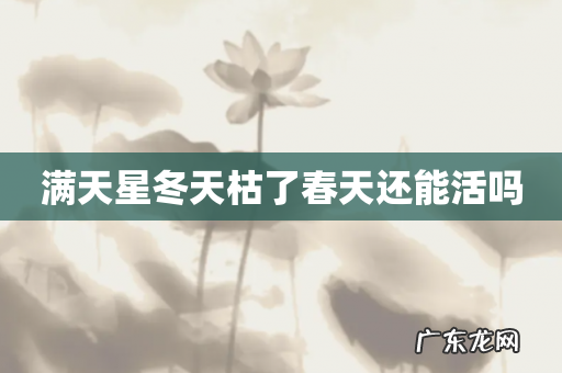 满天星冬天枯了春天还能活吗