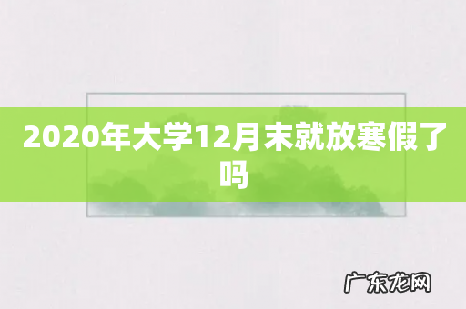 2020年大学12月末就放寒假了吗