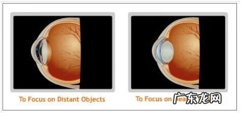贝茨视力训练法真的有效吗 贝茨视力训练法的