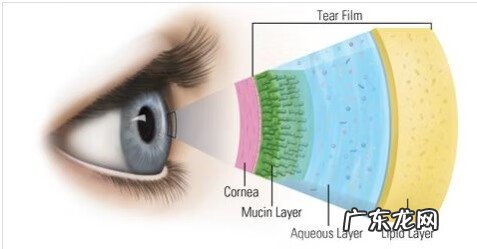 贝茨视力训练法真的有效吗 贝茨视力训练法的