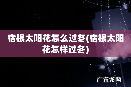 宿根太阳花怎样过冬 宿根太阳花怎么过冬