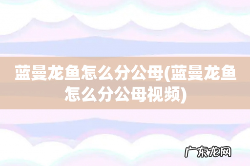 蓝曼龙鱼怎么分公母视频 蓝曼龙鱼怎么分公母