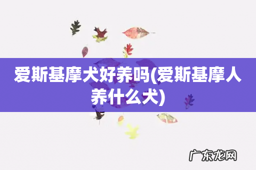 爱斯基摩人养什么犬 爱斯基摩犬好养吗