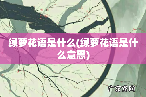 绿萝花语是什么意思 绿萝花语是什么