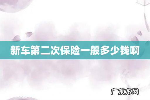 新车第二次保险一般多少钱啊