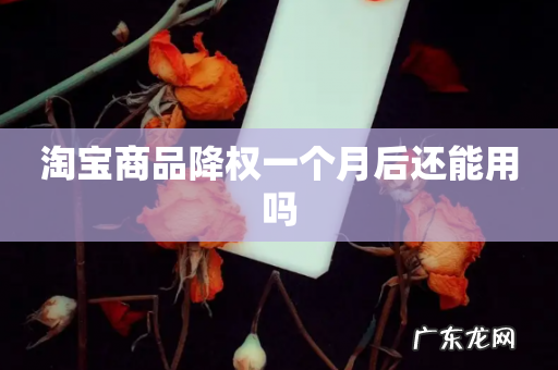 淘宝商品降权一个月后还能用吗