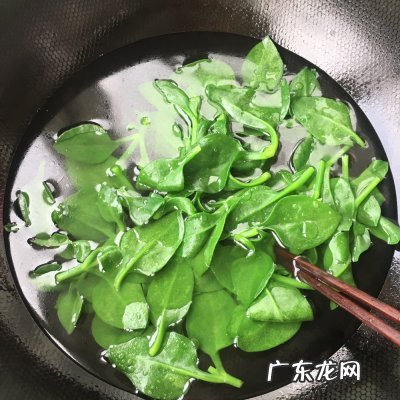 穿心莲的吃法与做法 穿心莲的做法及功效