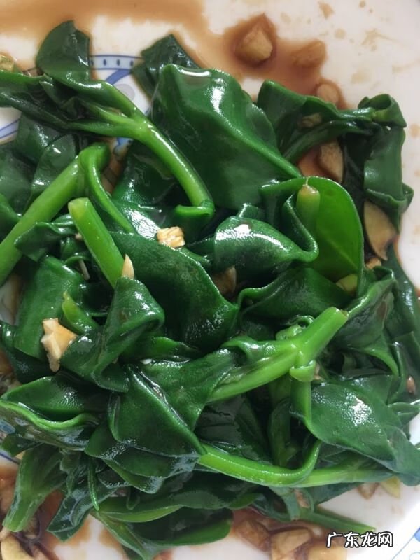 穿心莲的吃法与做法 穿心莲的做法及功效