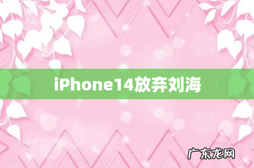 iPhone14放弃刘海